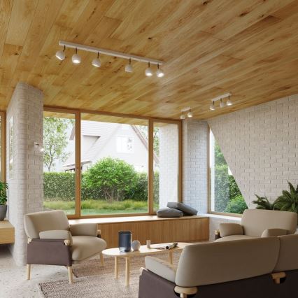 Стельовий точковий світильник OCULARE 2xGU10/10W/230V