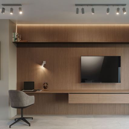 Стельовий точковий світильник RING 2xGU10/10W/230V