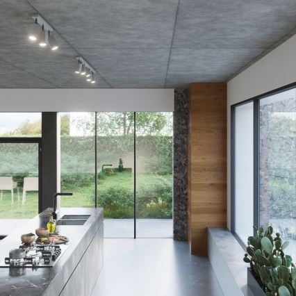 Точковий світильник MERIDA 2xGU10/40W/230V сірий