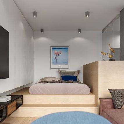 Точечный светильник TIUBE 1xGU10-AR111/10W/230V