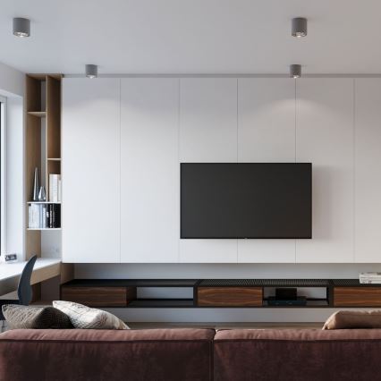 Точковий світильник TIUBE 1xGU10-AR111/10W/230V