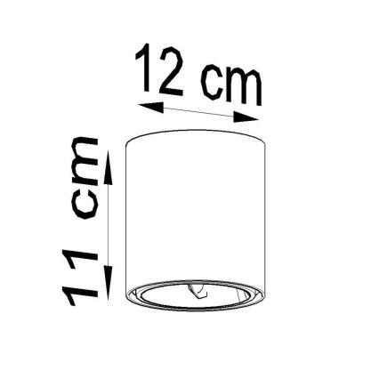 Точковий світильник TIUBE 1xGU10-AR111/10W/230V