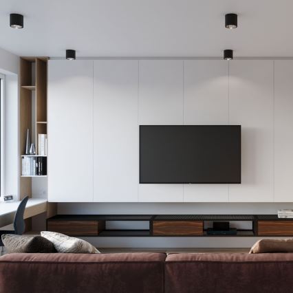 Точечный светильник TIUBE 1xGU10-AR111/10W/230V