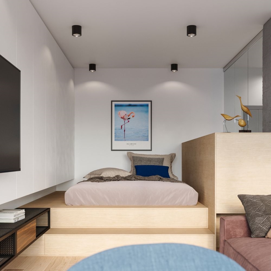 Точечный светильник TIUBE 1xGU10-AR111/10W/230V