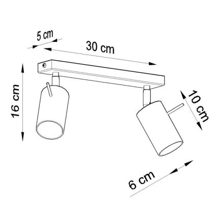 Точковий світильник RING 2xGU10/10W/230V