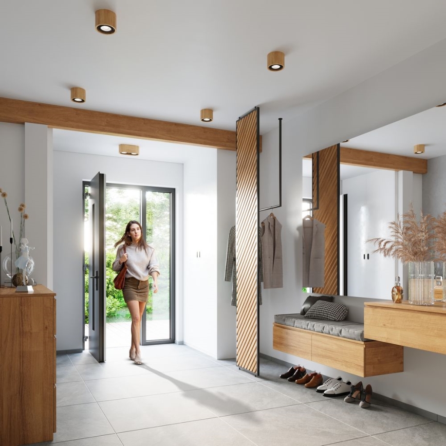 Потолочный светильник BASIC AR111 1xGU10/40W/230V бук