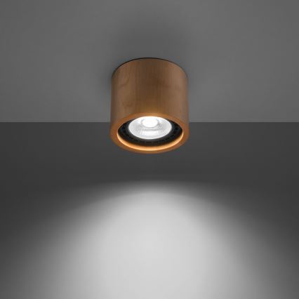 Потолочный светильник BASIC AR111 1xGU10/40W/230V бук