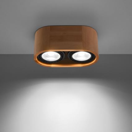 Потолочный светильник BASIC AR111 2xGU10/40W/230V бук