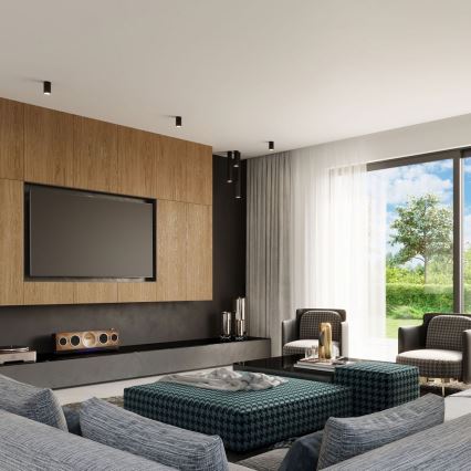 Точковий світильник LAGOS 1xGU10/10W/230V 20 см чорний