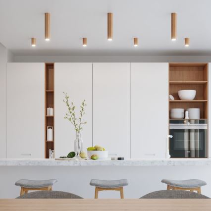 Точковий світильник ZEKE 1xGU10/40W/230V 10 см дуб