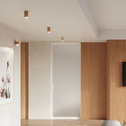 Точечный светильник KEKE 1xGU10/40W/230V 30 см дуб