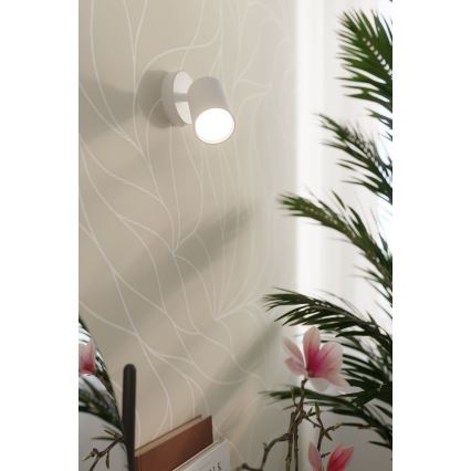 Настенный точечный светильник LEMMI 1xGU10/40W/230V белый