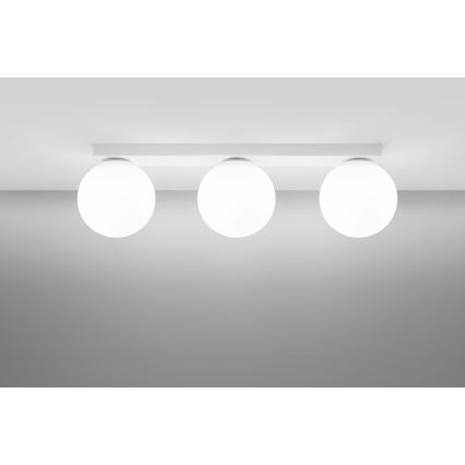 Потолочный светильник YOLI 3xG9/12W/230V белый