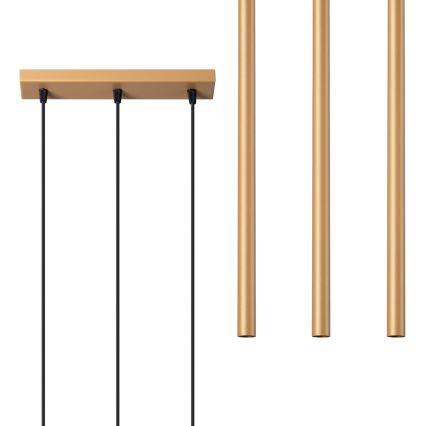 Підвісна люстра PASTELO 3xG9/8W/230V золотий