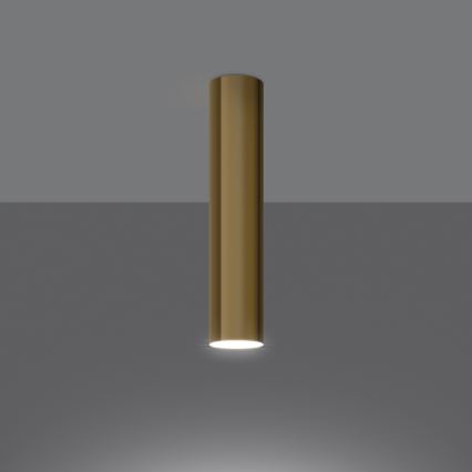 Точечный светильник LAGOS 1xGU10/10W/230V 30 см золотистый