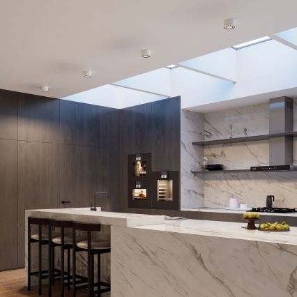 Світлодіодний точковий світильник DIO LED/10W/230V білий