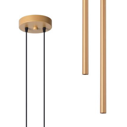 Підвісна люстра PASTELO 2xG9/8W/230V золотий