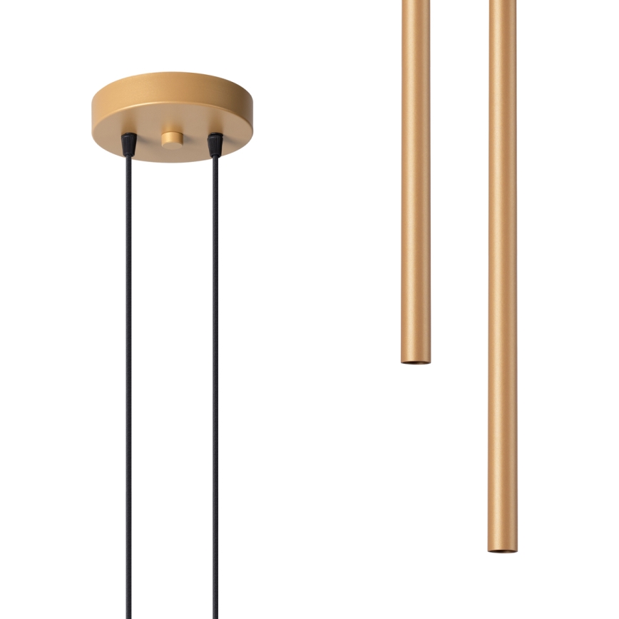 Підвісна люстра PASTELO 2xG9/8W/230V золотий