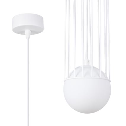 Подвесная люстра BRINA 1xG9/8W/230V белый