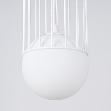 Подвесная люстра BRINA 1xG9/8W/230V белый