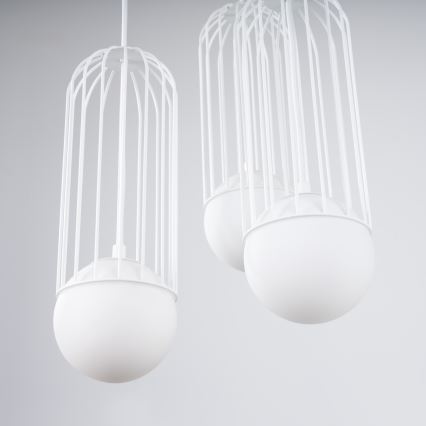 Подвесная люстра BRINA 3xG9/8W/230V белый