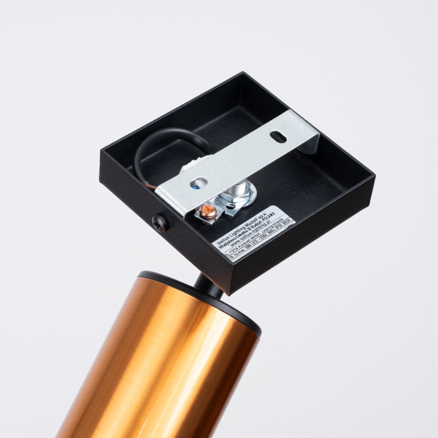 Настенный точечный светильник WINX 1xGU10/10W/230V черный/медный