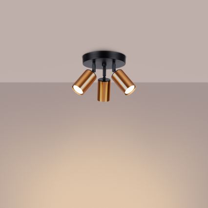 Точковий світильник WINX 3xGU10/10W/230V чорний/мідь