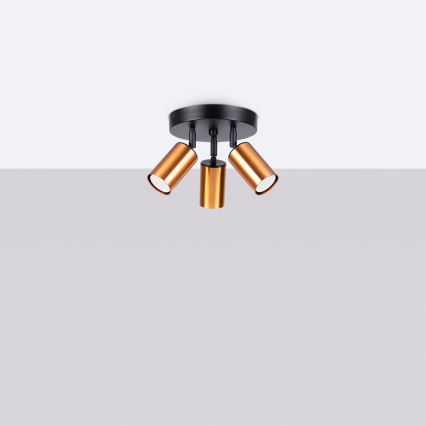 Точковий світильник WINX 3xGU10/10W/230V чорний/мідь