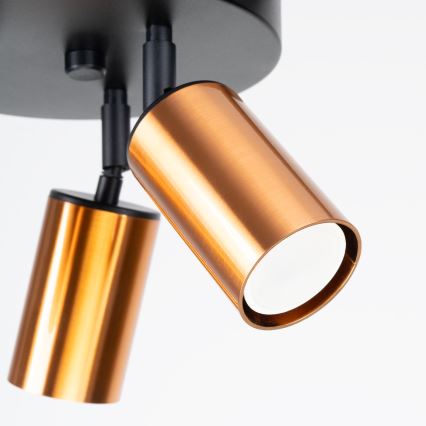 Точковий світильник WINX 3xGU10/10W/230V чорний/мідь