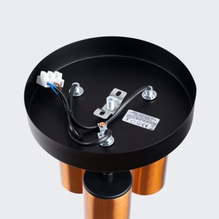 Точковий світильник WINX 3xGU10/10W/230V чорний/мідь