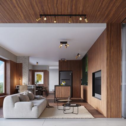 Настенный точечный светильник WINX 1xGU10/10W/230V черный/золотистый