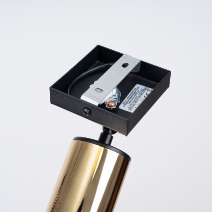 Настенный точечный светильник WINX 1xGU10/10W/230V черный/золотистый