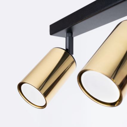 Точковий світильник WINX 2xGU10/10W/230V чорний/золотий