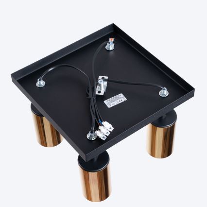 Точковий світильник WINX 4xGU10/10W/230V чорний/золотий
