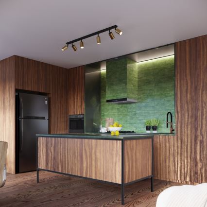 Точечный светильник WINX 6xGU10/10W/230V черный/золотистый