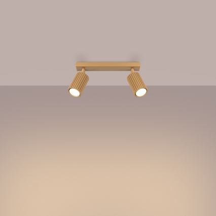 Точковий світильник KARBON 2xGU10/10W/230V золотий