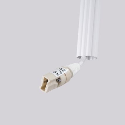 Подвесная люстра на тросе ARCHE 2xG9/8W/230V белая
