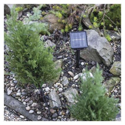 Сонячна LED‑декорація 50xLED/3W/1,2V 600 mAh IP44