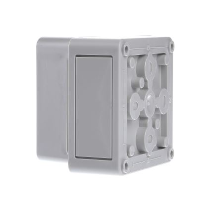 Spelsberg 11090301 - Розподільна коробка TK PS 99-8-o IP66