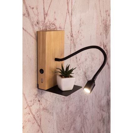 Настенный светильник LECTOR LED/2,5W/230V USB дуб – сертифицировано FSC