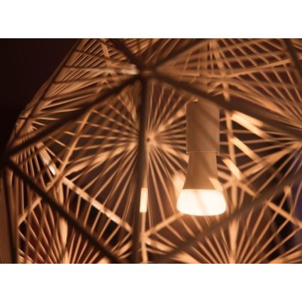 Стартовый набор Philips Hue WHITE AMBIANCE 2xE27/8 Вт/230 В + Hue Bridge и диммерный переключатель