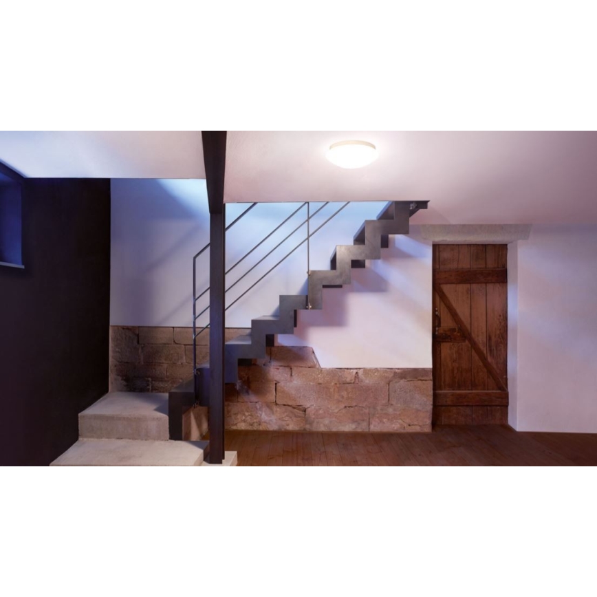 STEINEL 008383 - Світлодіодний світильник для ванної кімнати з датчиком RS16LED LED/9,5W/230V IP44