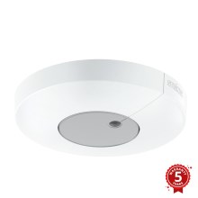 STEINEL 033651 - Сутінковий вимикач Light Sensor Dual KNX білий
