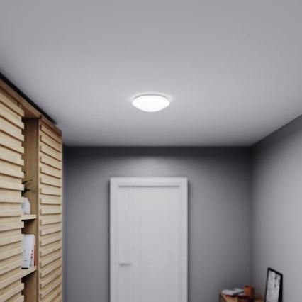 STEINEL 035105 - Светодиодный светильник для ванной комнаты с датчиком RS 16 LED G LED/9,5W/230V IP44
