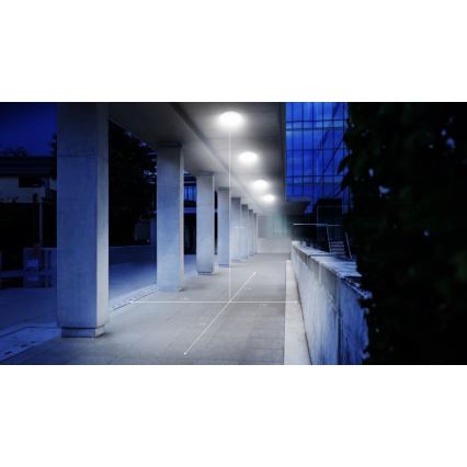 Steinel 035440 - Вуличний світлодіодний стельовий світильник з датчиком QUATTRO LED/10W/230V IP54