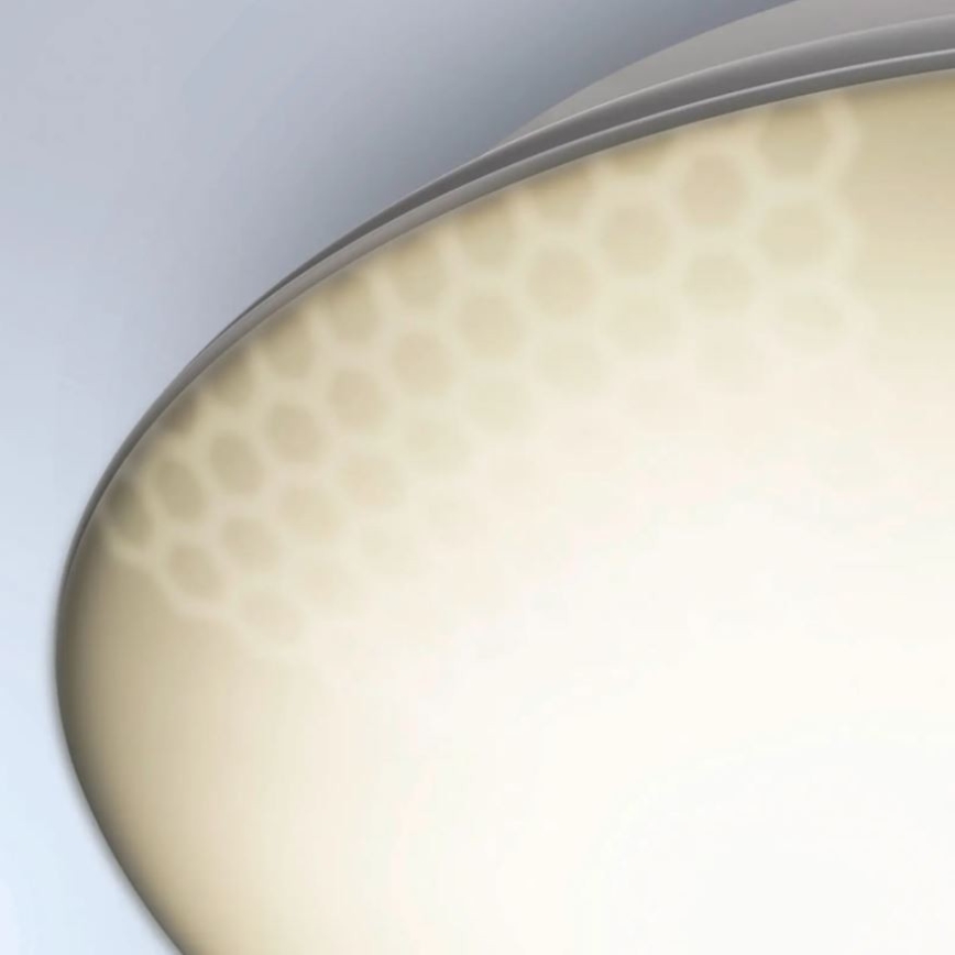 Steinel 035440 - Вуличний світлодіодний стельовий світильник з датчиком QUATTRO LED/10W/230V IP54