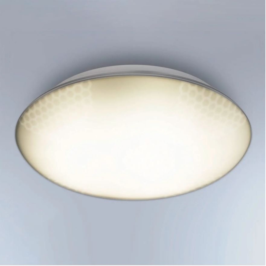 Steinel 035440 - Вуличний світлодіодний стельовий світильник з датчиком QUATTRO LED/10W/230V IP54