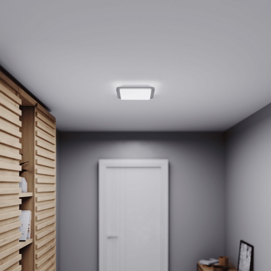 Steinel 052539 - Світлодіодний стельовий світильник з датчиком LED/9,5W/230V