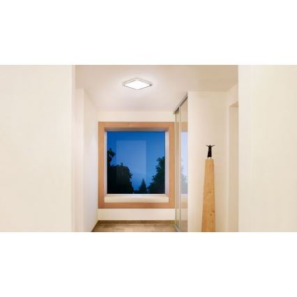 Steinel 052539 - Світлодіодний стельовий світильник з датчиком LED/9,5W/230V