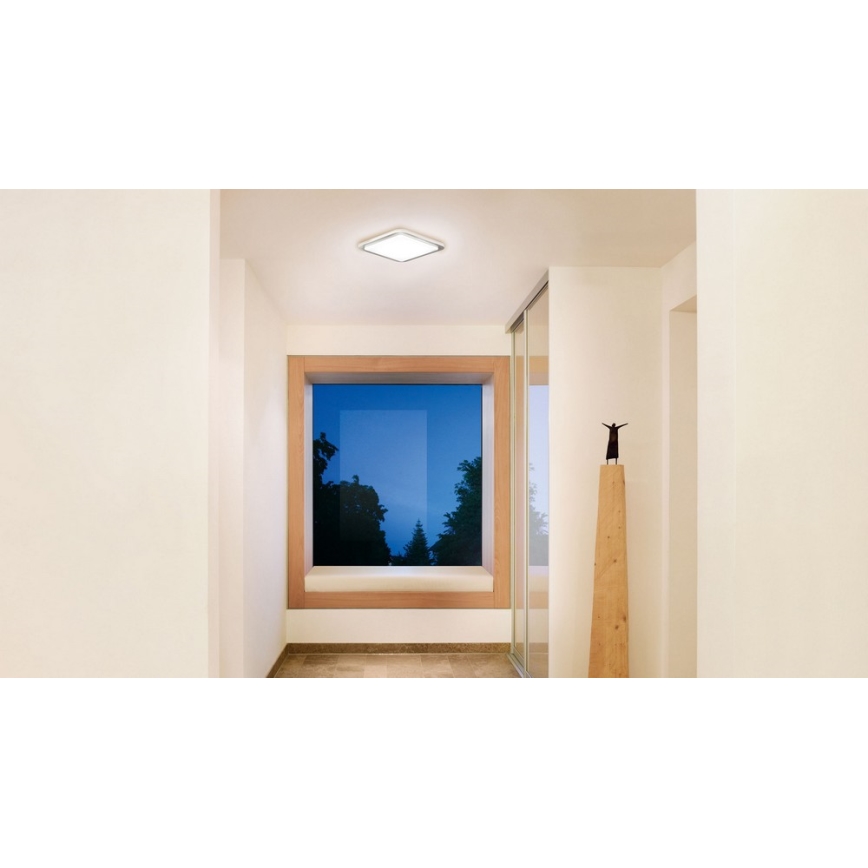 Steinel 052539 - Світлодіодний стельовий світильник з датчиком LED/9,5W/230V